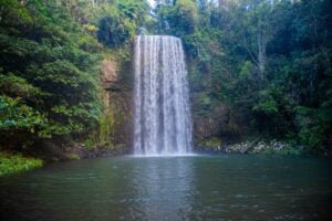 Millaa Millaa Falls