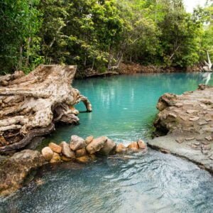 Cardwell photo tour