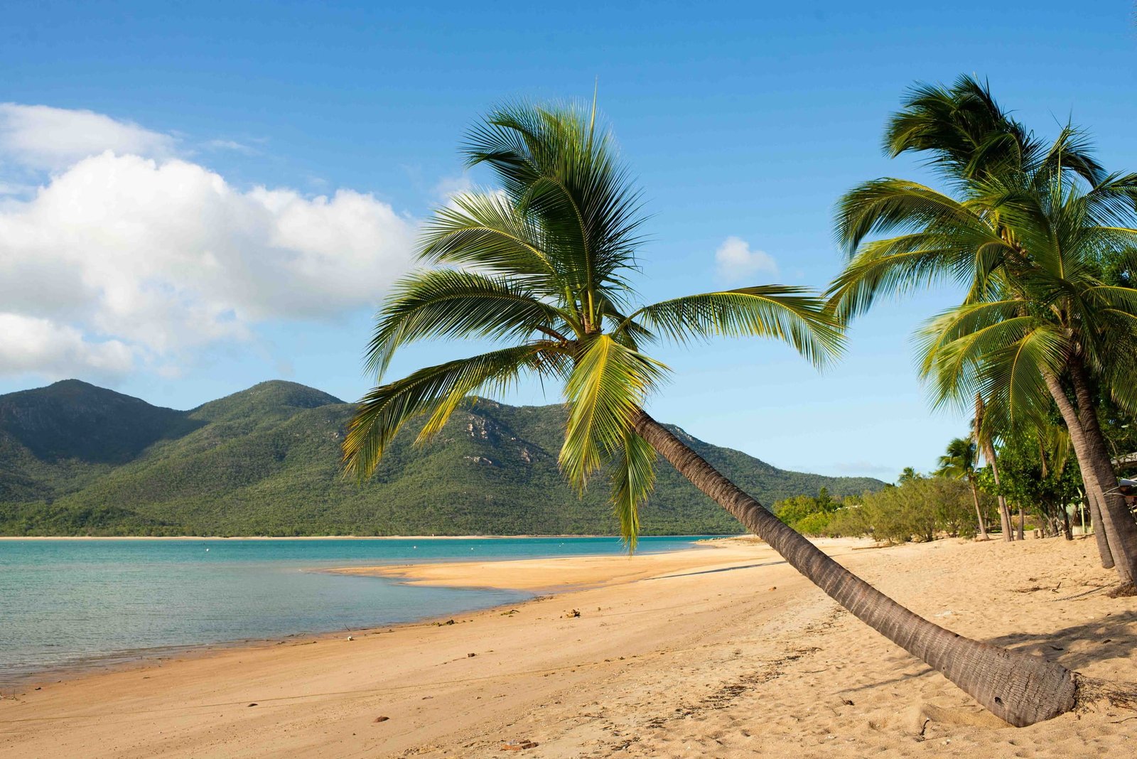 Whitsundays Photo Tour