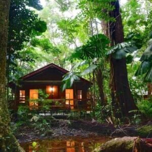 Daintree photo tour
