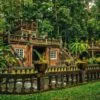 paronella park photo tour