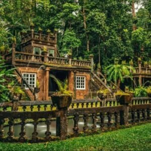 paronella park photo tour